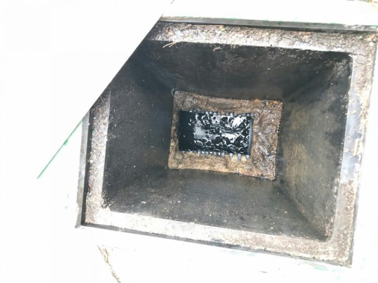 1485924677046.jpg